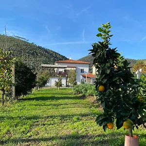 La Tenuta Di Eva Pisa